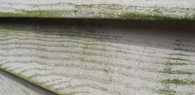 Green Spots on siding Algae is the green stains that show up on the siding of your house.