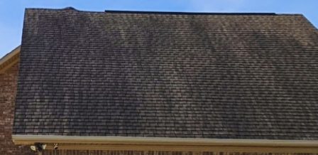 Black streaks on roof Black streaks on a roof are known as Gloeocapsa Magma.