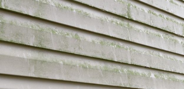 Black or green stains on siding Green or black stains on siding can be mold and requires soft wash to clean it properly.