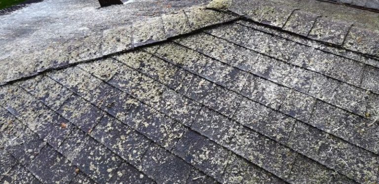 Orange and white spots on a roof Lichen shows up as white or orange spots on a roof