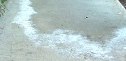 efflorescence on concrete White powdery residue on brick on concrete is efflorescence.